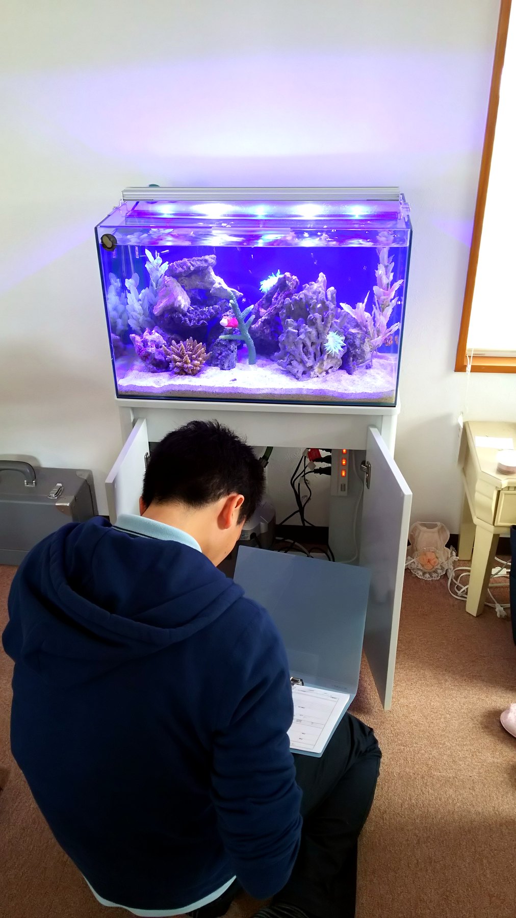 埋め込み海水魚水槽のキャビネット内部を点検する作業